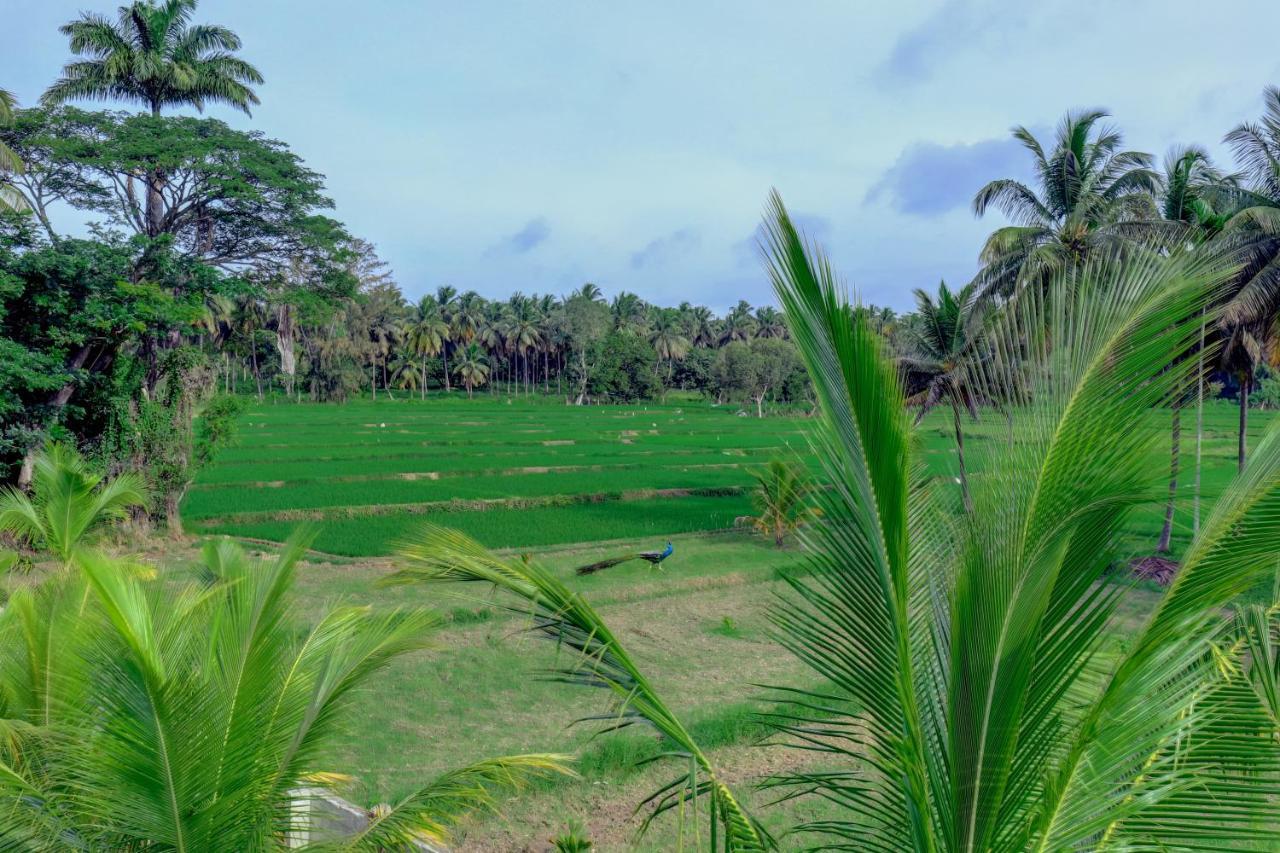 Brindavan Garden Resort & Spa Krishnarajasagara 외부 사진